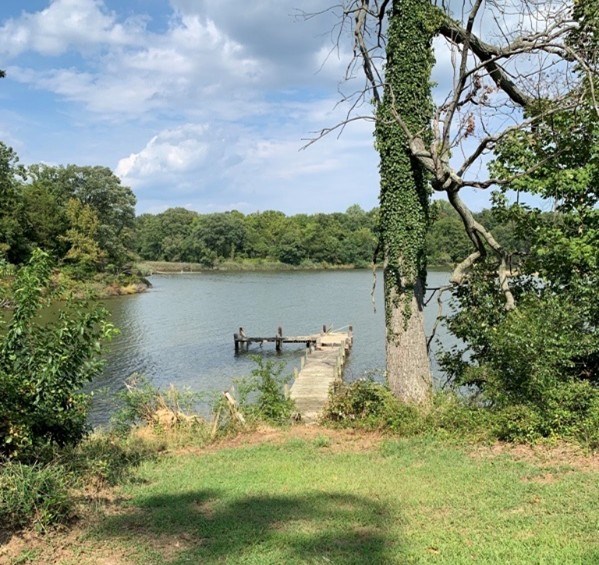 Image of an existing dock located at the Whitehall site.