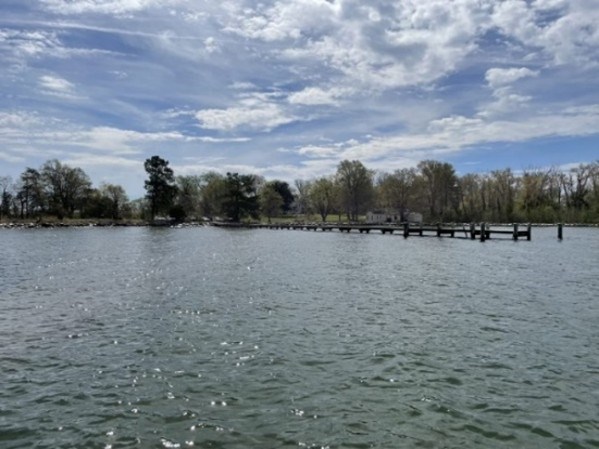 Image from the water looking at the existing dock located at the Holly Beach Farm site.
