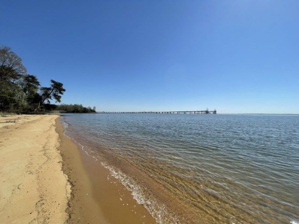 Image of the Chesapeake Bay from the shoreline at the Holly Beach Farm site.