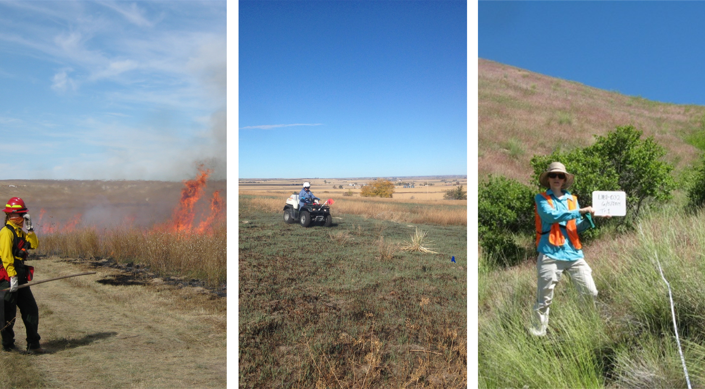 Three photos showing fire fighters lighting grass on fire, people riding an ATV, and field workers.