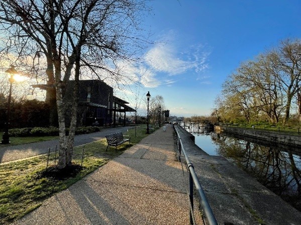 A path with a bench and trees by it