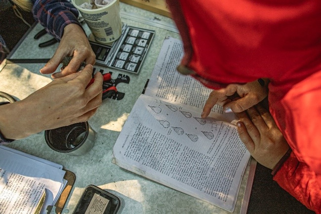 Two researchers are bent over a table pointing at textbook and measuring tools.