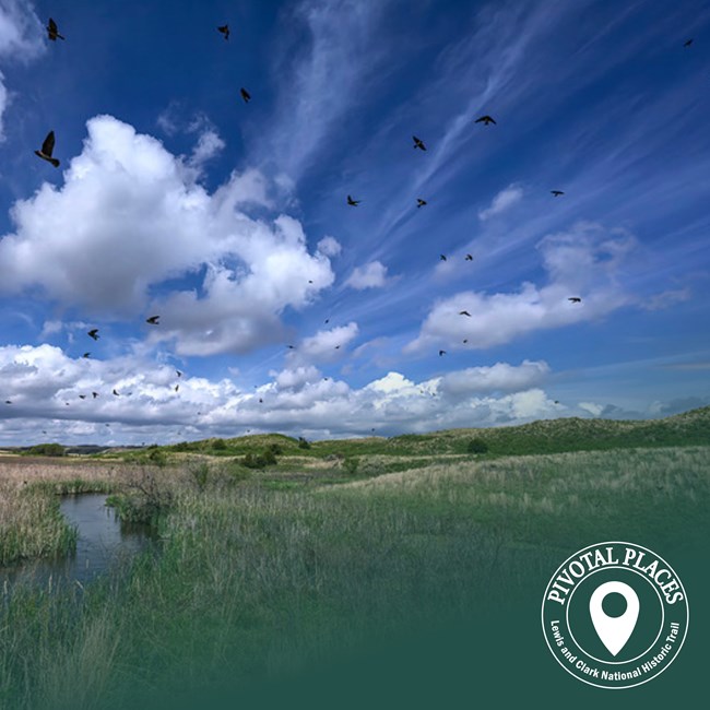 A field and stream below a blue sky with fluffy clouds