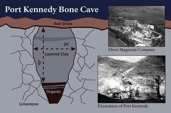 illustrated diagram of cave and two black and white photos
