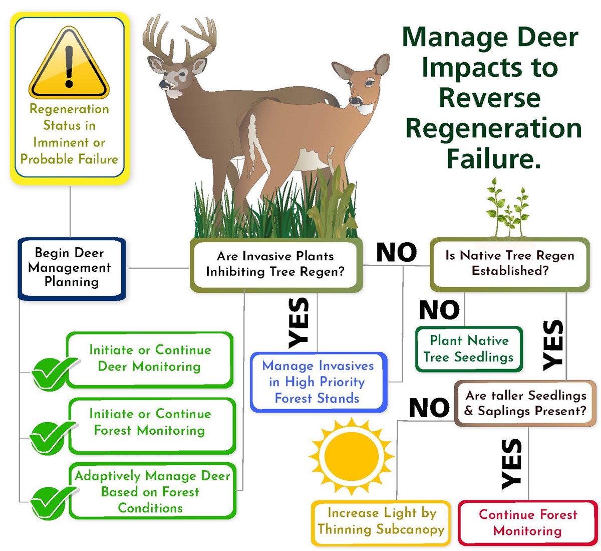 Resilient Forests Initiative Managing Deer Impacts (U.S. National