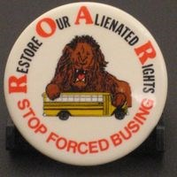 Test on a button that reads out "Restore Our Alienated Rights Stop Forced Busing" with a lion grabbing a school bus