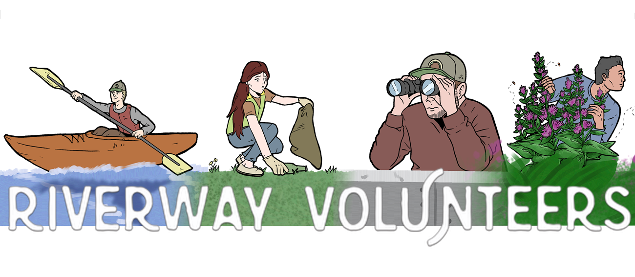 Riverway Volunteer logo with four illustrations depicting volunteer roles: Kayak Krew (paddling), Watershed Waste Warrior (picking up trash), Discovery Aide (using binoculars), and Beetle Parent (observing beetles near Purple Loosestrife).