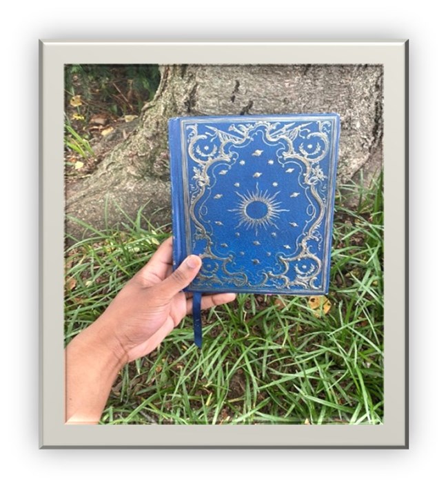 A person's hand holding a blue/gold book with green grass and a tree stump in the background.