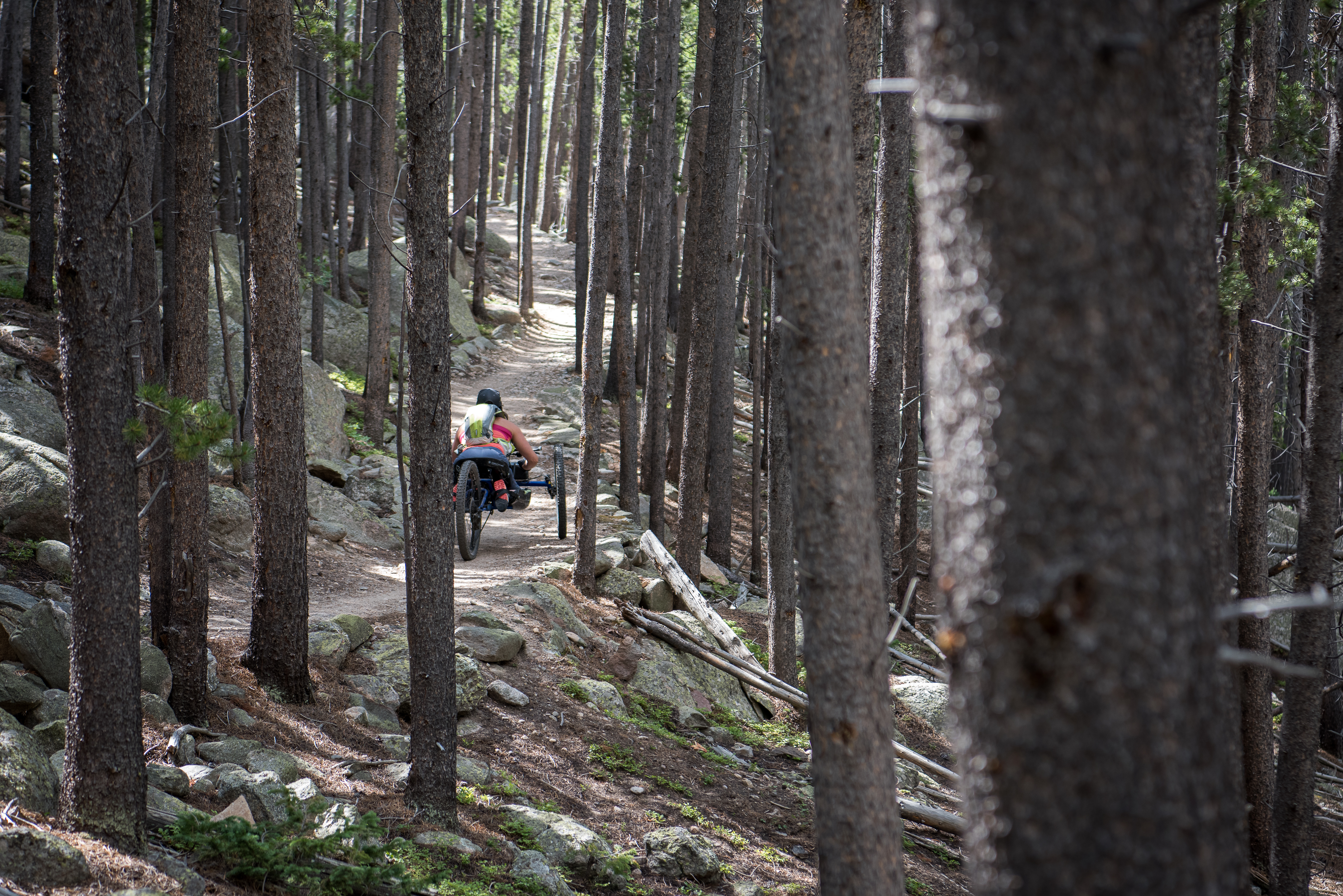 a woman uses an adaptive wheelchair on a dirt trail through the trees