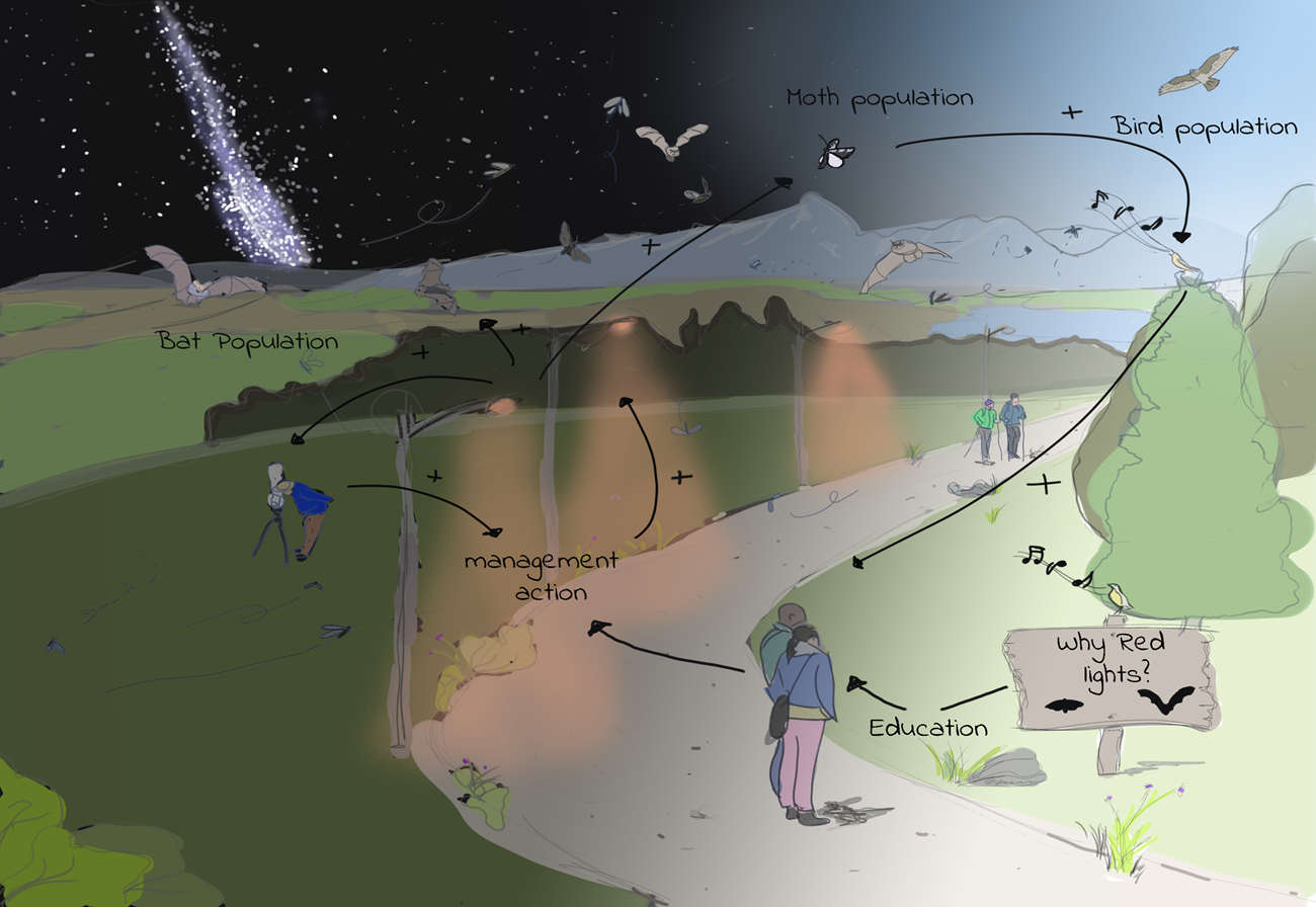 An animated infographic showing the effects of the lights.