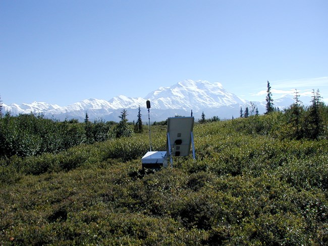 Remote acoustic monitoring equipment in Denali National Park and Preserve in a field of green vegetation backed by snow-capped mountains