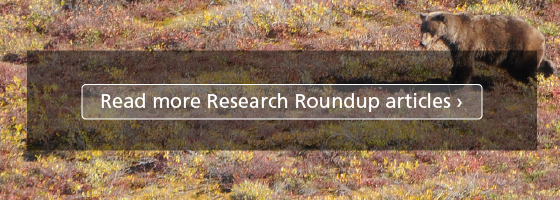 Button graphic with text, "Read more Research Roundup articles"