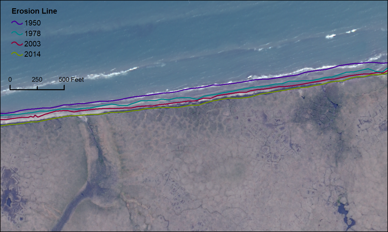 Satellite image shows the erosion line position on the shoreline bluff at four different measurement times in Bering Land Bridge National Preserve. The coast in this area, just west of Espenberg, retreated about 130 feet (40 m) between 1950 and 2014. Ice