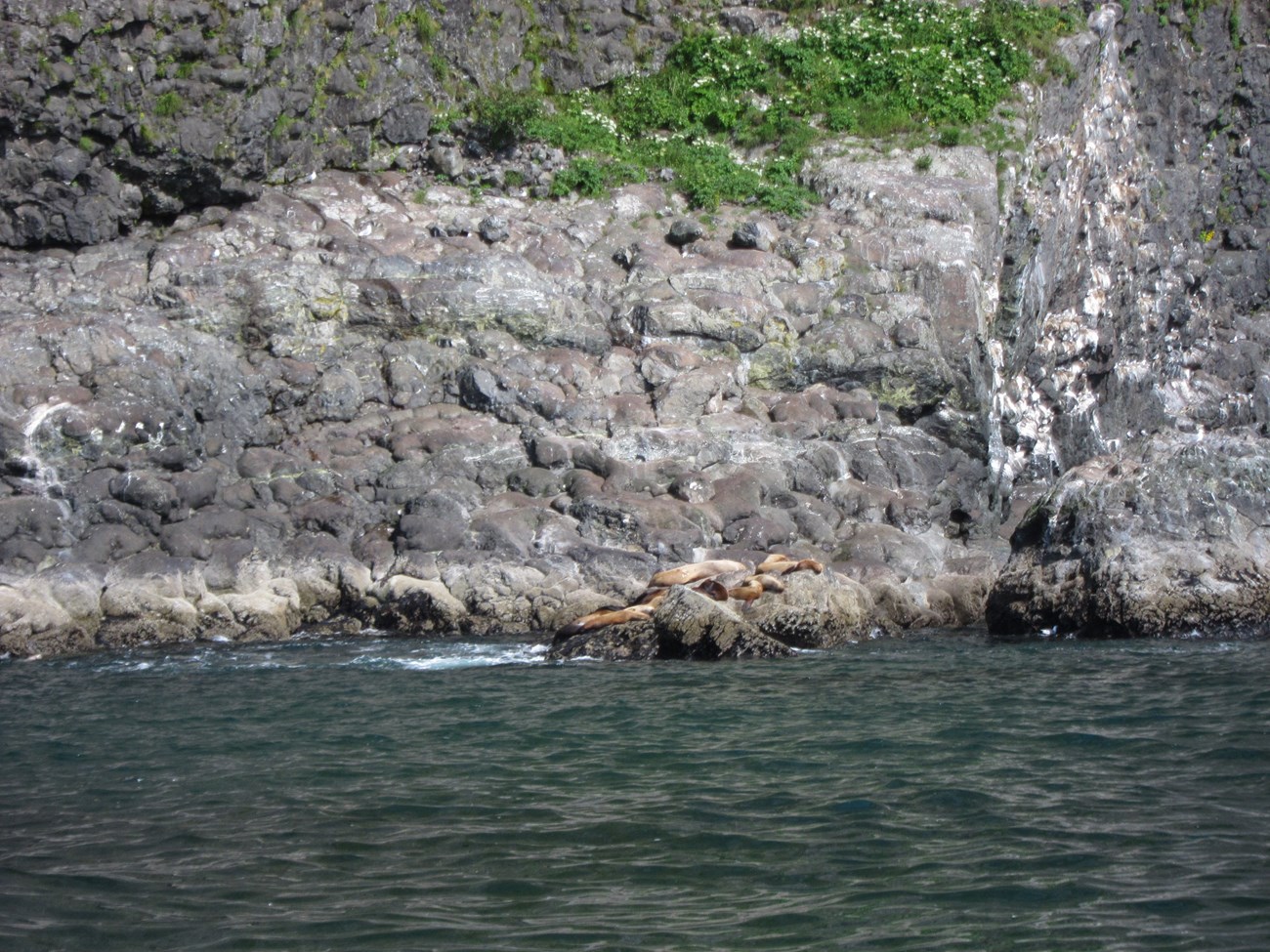 photo of a shoreline bluff with rounded pillow basalts exposed