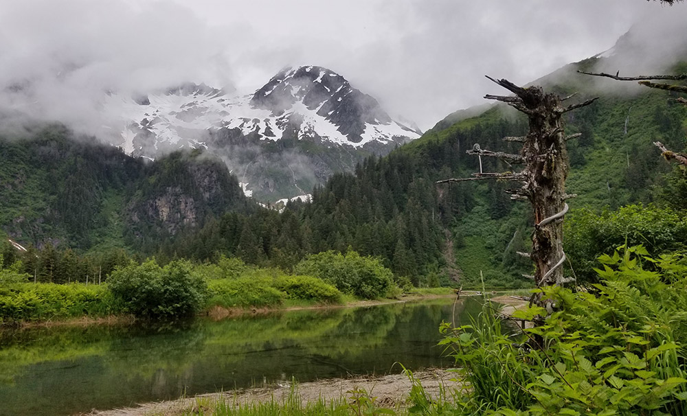 Verdent lake surrounded by forested hills and mountains.