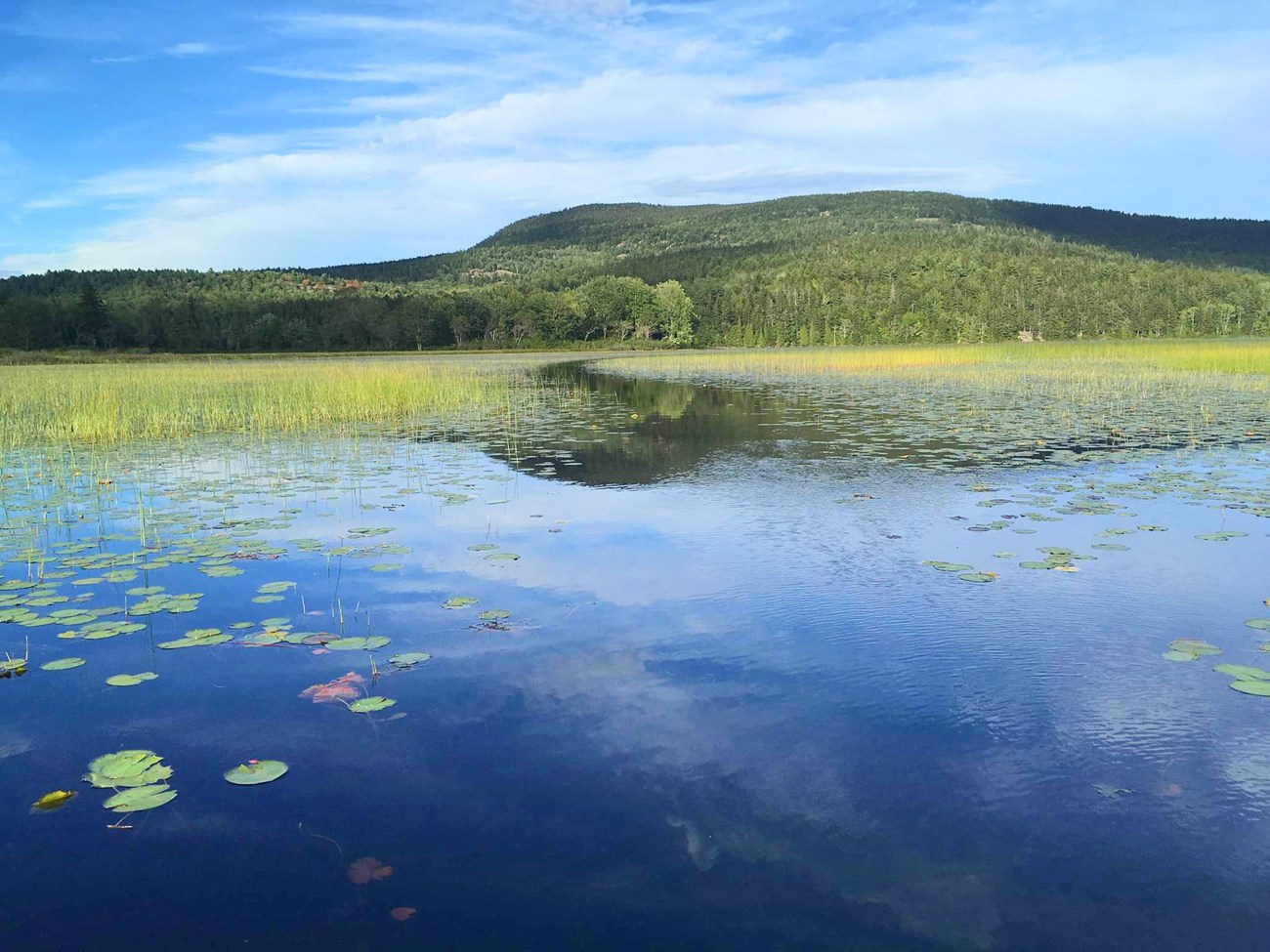 Large lake backed by green, forested hills. The lake's surface is partially covered by lily pads and other emergent vegetation.