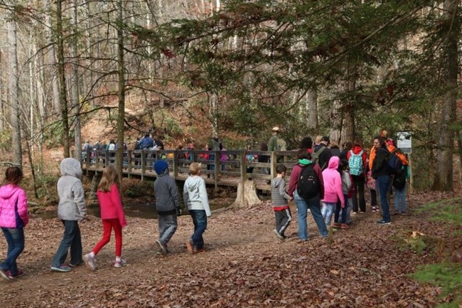 A group of schoolchildren walk through a fall forest.