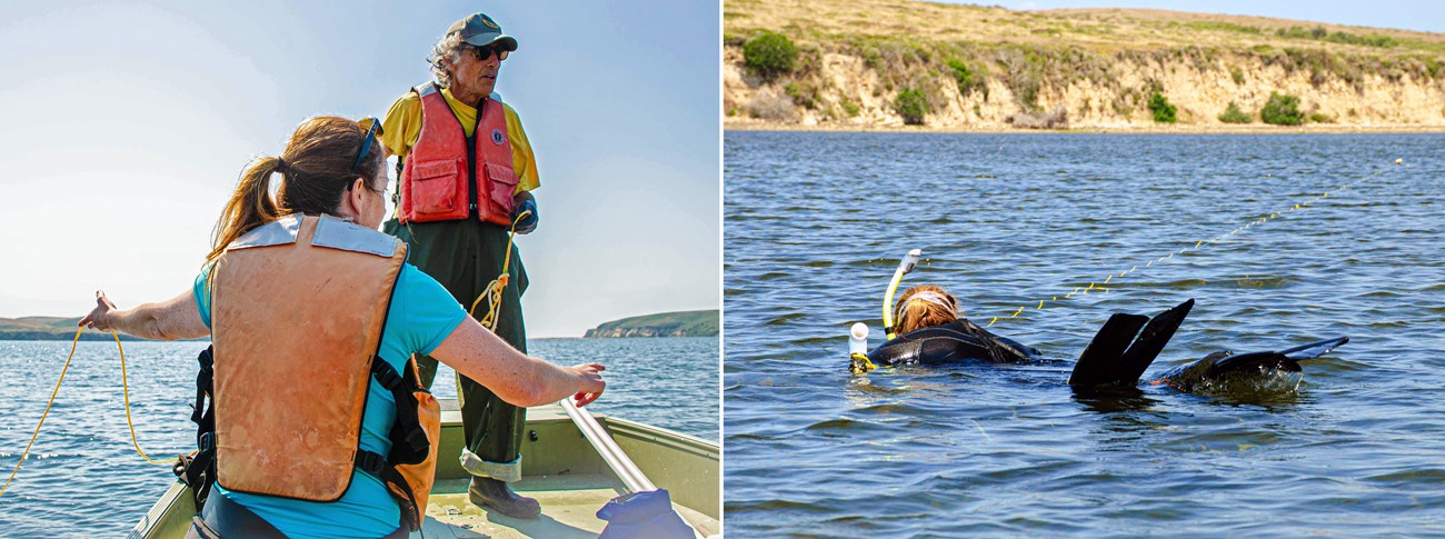 Left: Two people on a boat wearing life jackets, one holding a looped end of a long yellow string, and the other lifting the string over the water with one hand and pointing with the other. Right: Person snorkeling along a yellow string.