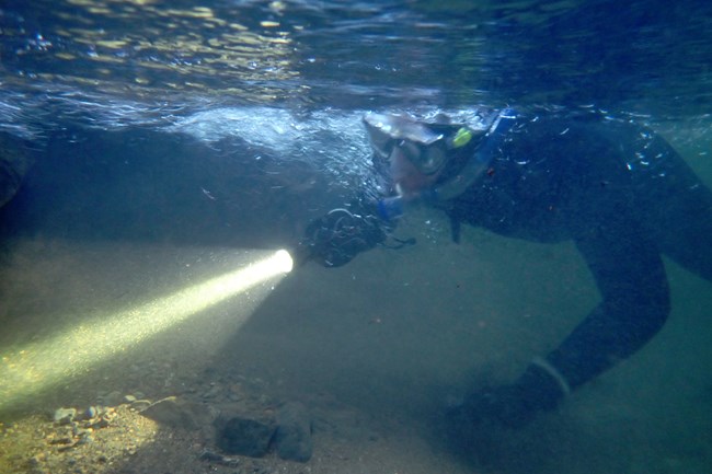 Underwater photo of a snorkeler in a shallow creek holding a flashlight. The flashlight's beam illuminates the gravel creek bed a foot or two in fromt of the snorkeler.