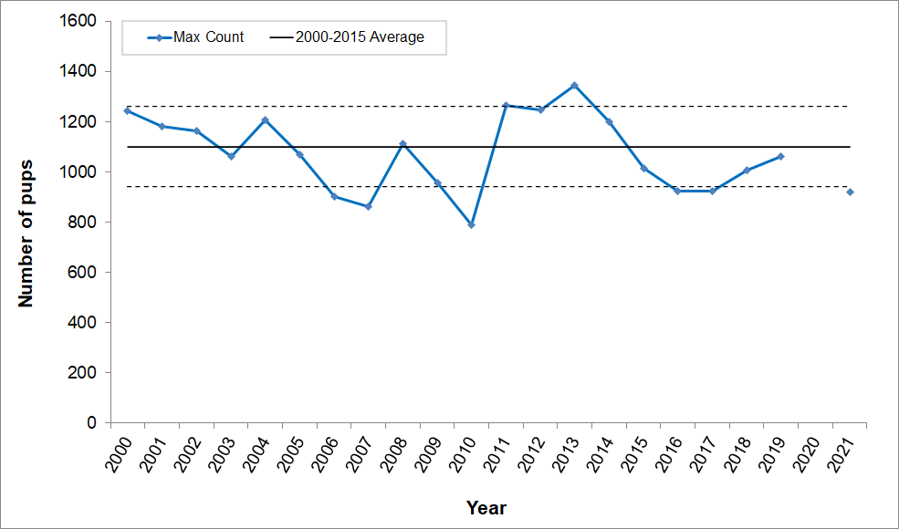 Line graph of maximum harbor seal pup counts for 2000-2021. Pup counts have remained fairly steady. The lowest count was in 2010. The highest was in 2013. This year's count is just below one standard deviation below the mean. There is no point for 2020.