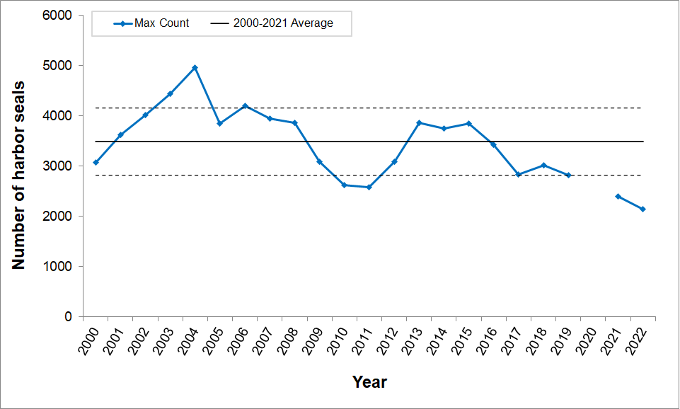 Line graph of maximum harbor seal molt season counts for 2000-2022. There has been a slight decline in the number of seals, but most years are within one standard deviation of the mean. The lowest counts occurred in 2021 and 2022.