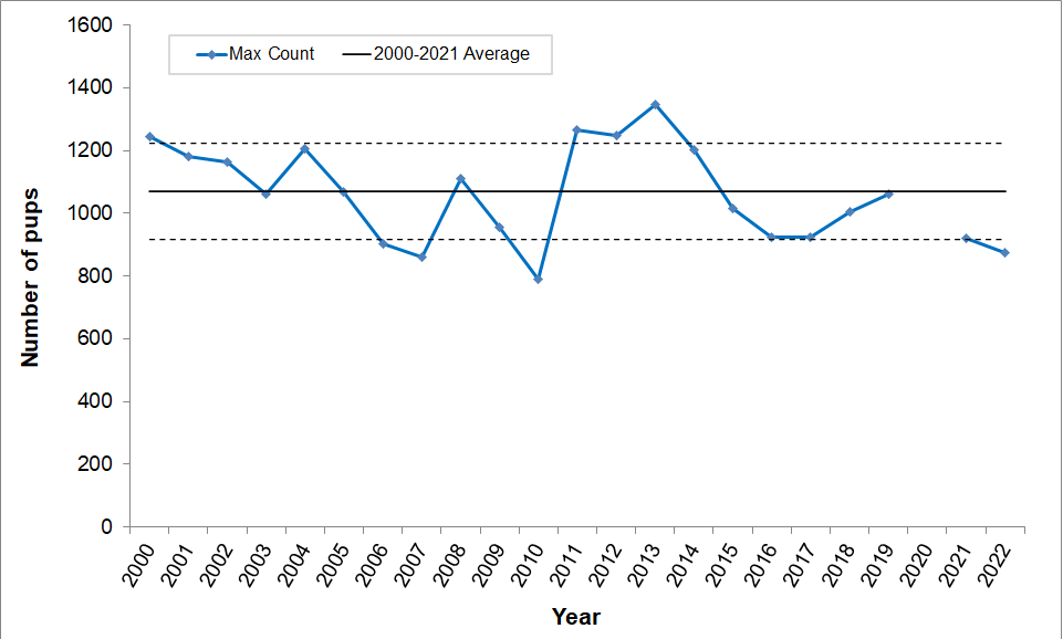 Line graph showing maximum harbor seal pup counts for 2000-2022. Pup counts have remained fairly steady between one standard deviation around the mean. This year's count is slightly below one standard deviation below the mean.