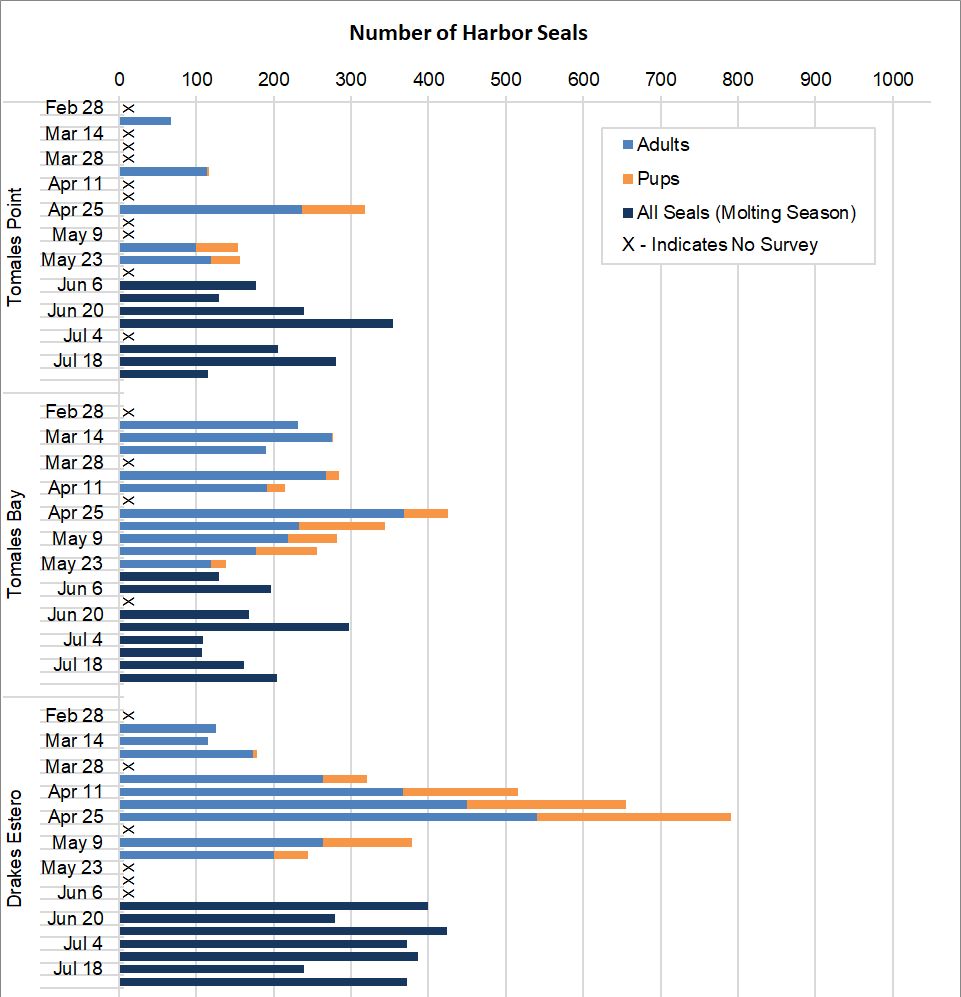 Graph of maximum harbor seal counts by site (Tomales Point, Tomales Bay, Drakes Estero) and survey week from late February through July.