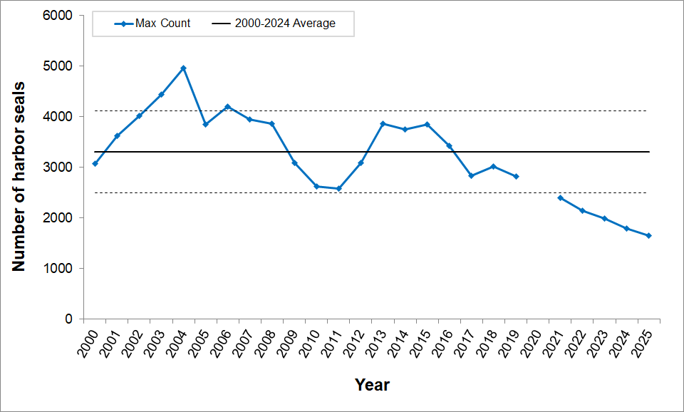 Line graph of maximum harbor seal molt season counts for 2000-2024. Through 2019, most years are within one standard deviation of the mean. 2021 was a record low, just below one standard deviation from the mean. Counts have steadily declined since then.