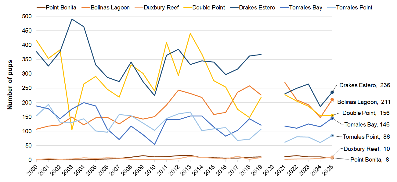 Line graph of harbor seal pup counts at 7 sites. Pt. Bonita and Duxbury Reef have the lowest, most consistent counts. Drakes Estero and Bolinas Lagoon have the highest, rebounding somewhat from lows last year.