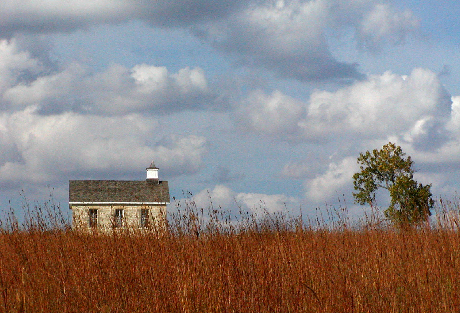 Lower Fox Creek Schoolhouse and cottonwood tree against sky and clouds