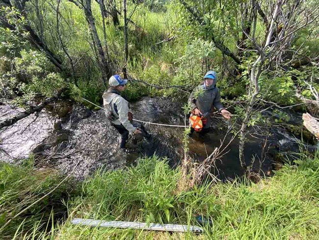 Researchers take data along a stream in interior Alaska.