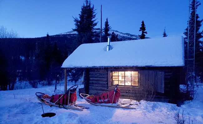 Warm light shines through the window of a snow-covered log cabin at night in front of a line of evergreen trees. Two sleds are outside.