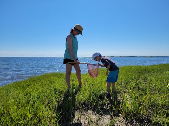 Two people looking into a net near the water.