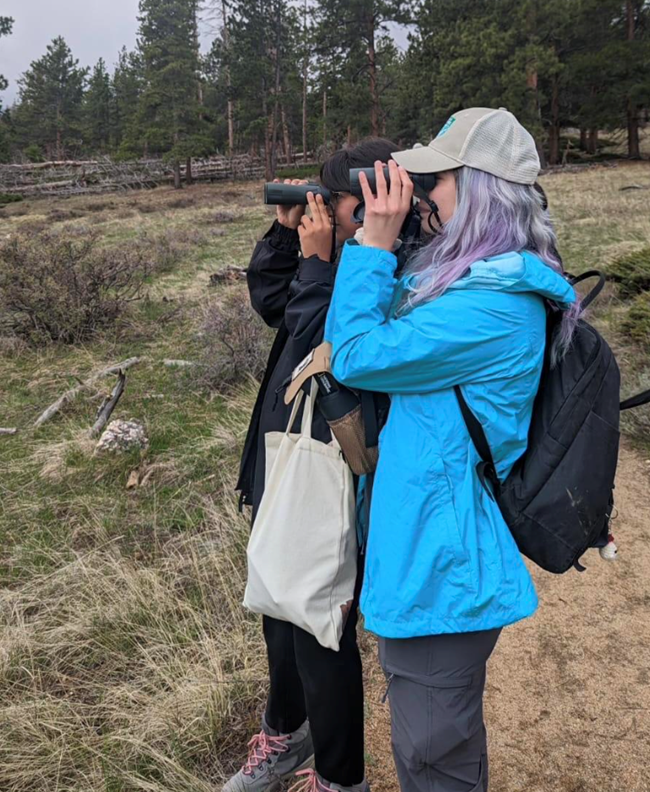 Two individuals with binoculars birdwatching with green trees in the background