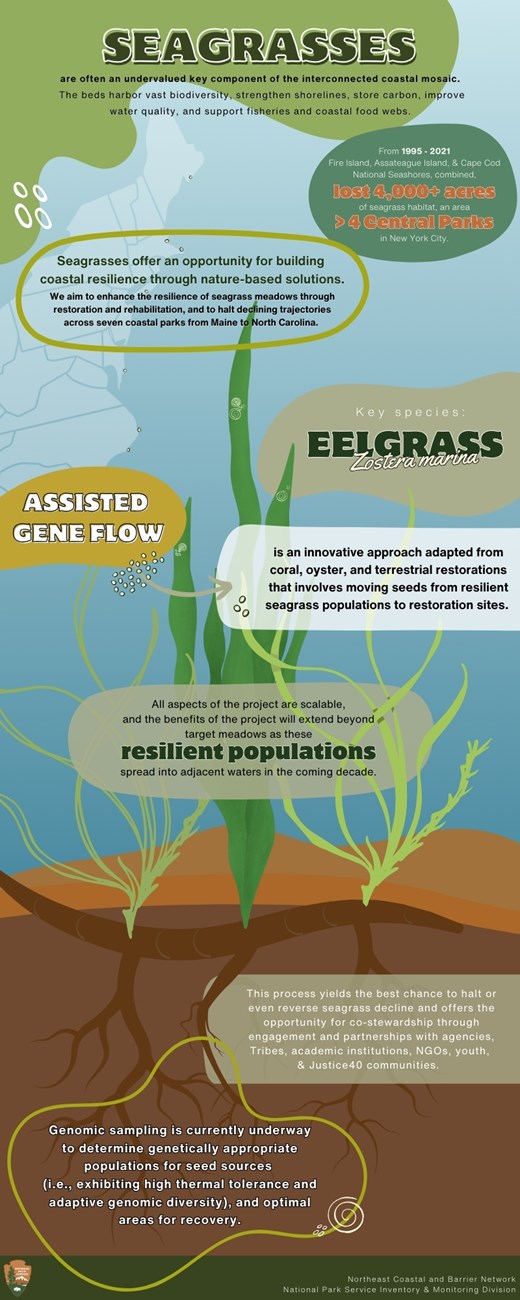 Infographic with icons and text describing restoration project. Full text description at the bottom of site.