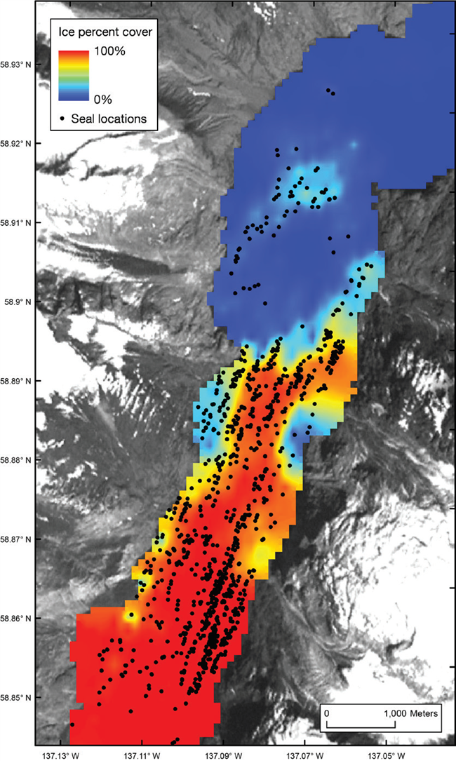 Map showing harbor seal locations and percent ice cover in Johns Hopkins Inlet in Glacier Bay National Park.
