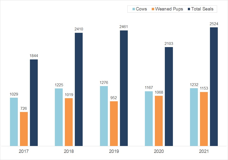 Column graph showing stable or slightly rising numbers of elephant seal cows, pups, and total seals over the last five years.