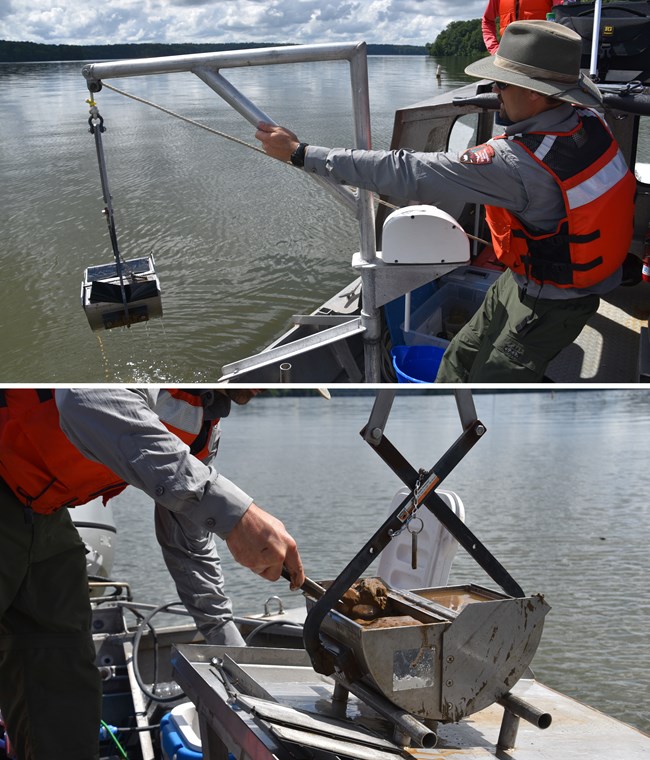 A sampler bucket hangs over the side of a boat. Mud is spooned out of the bucket.