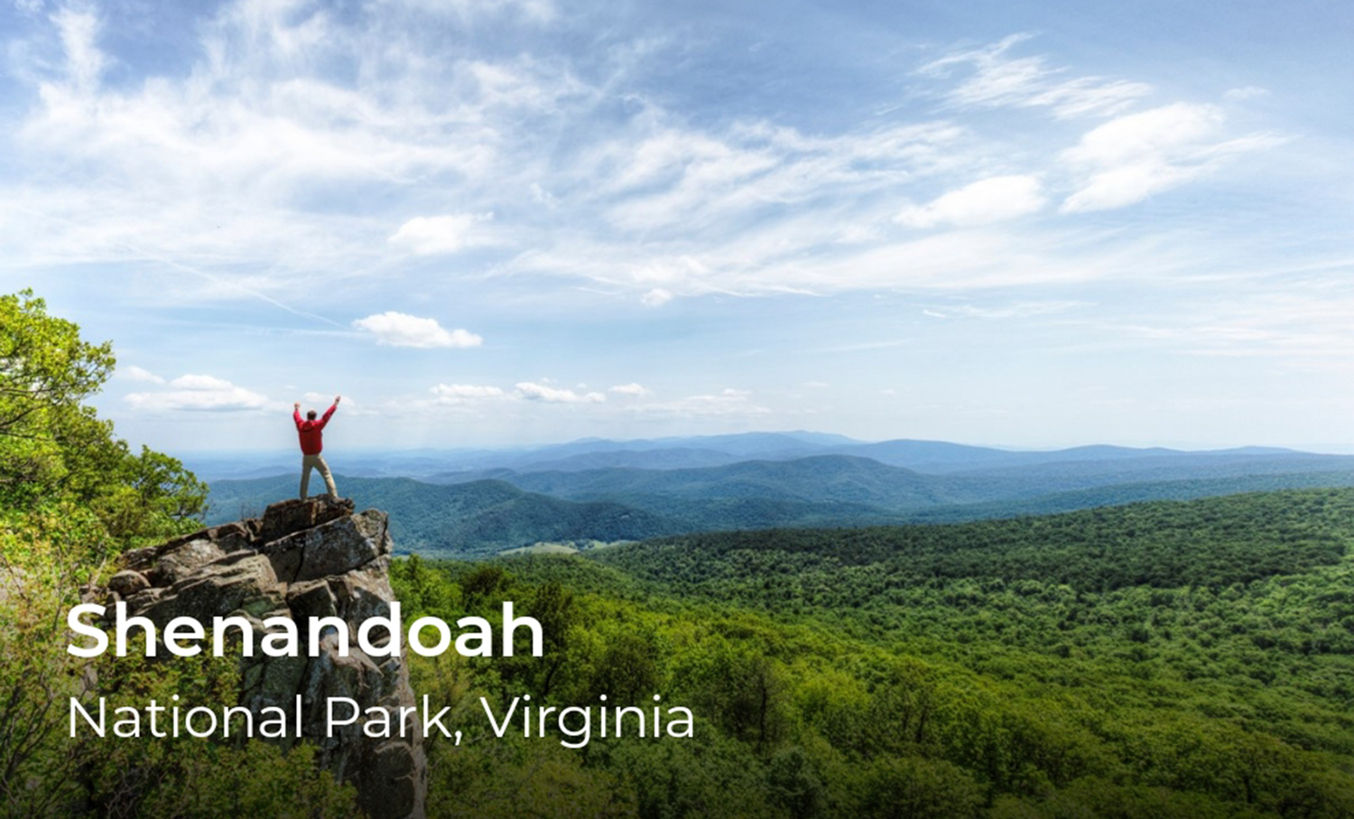 A person on a rock formation overlooking a forest and mountains