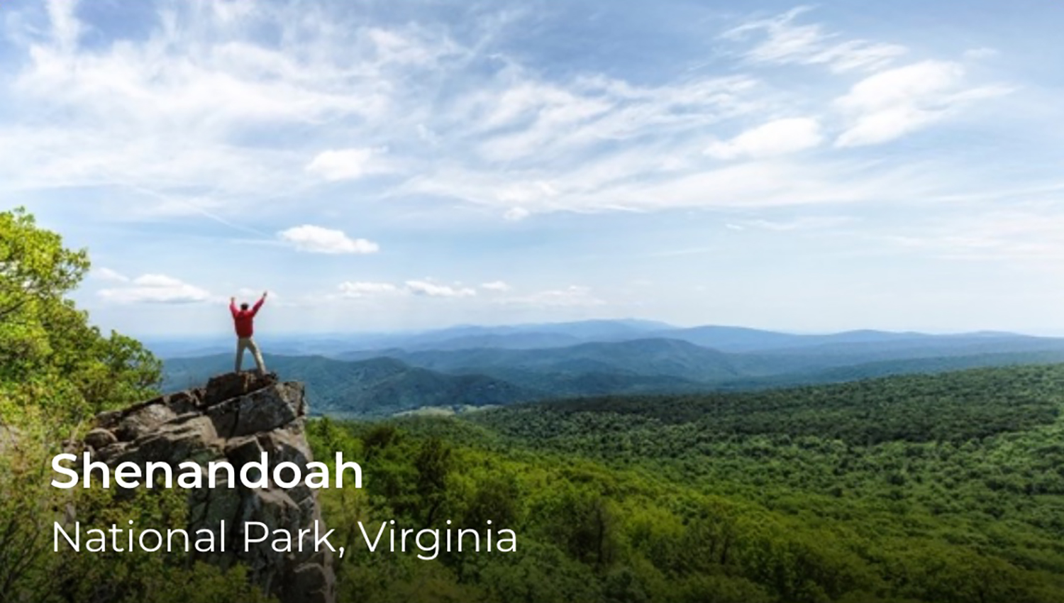 A person with their hands in the air at a viewpoint overlooking hills and forest, a word reads, Shenandoah.