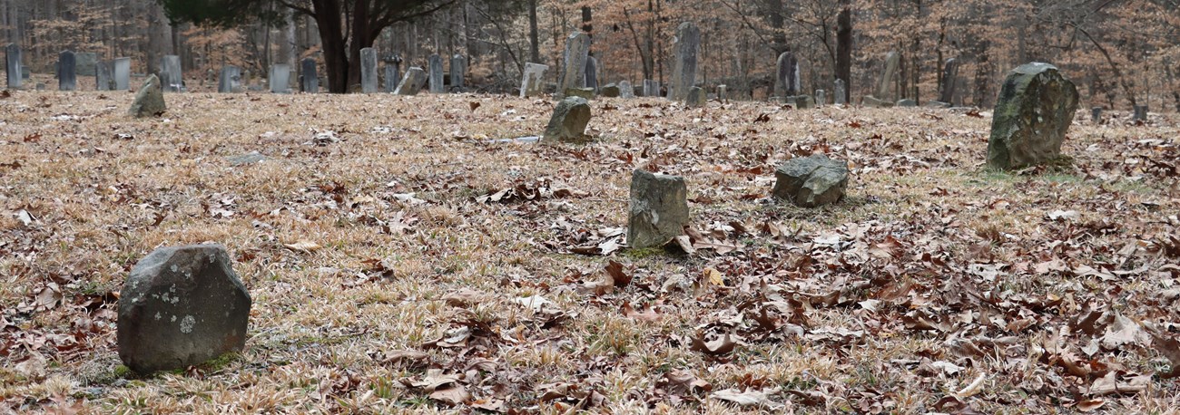 A row of rough-hewn gray rocks placed upright in a cemetery.