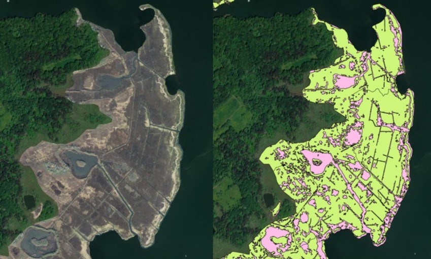 Two side by side aerial images of a salt marsh showing image classification.