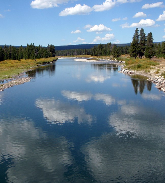A river reflecting blue sky and white clouds lined by evergreen trees