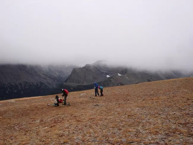Researchers on the alpine tundra collecting soil samples