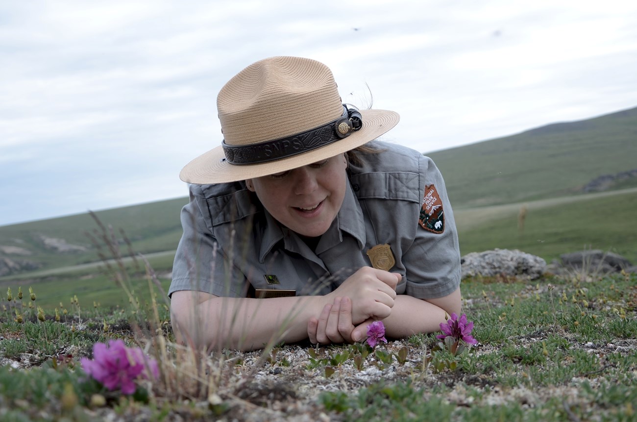 A female ranger looks at a flower while laying on the tundra.