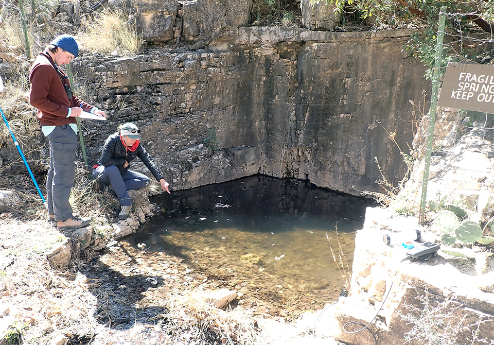 Two people standing on the edge of a square pool pointing at the water and taking notes.