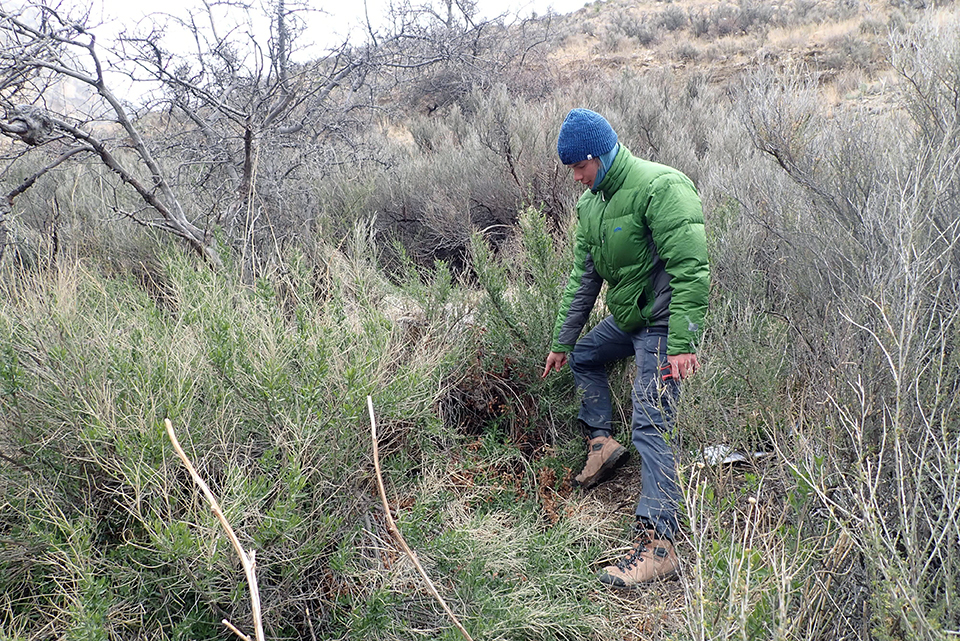 Person pointing to the ground on a bank covered in grasses and shrubs.