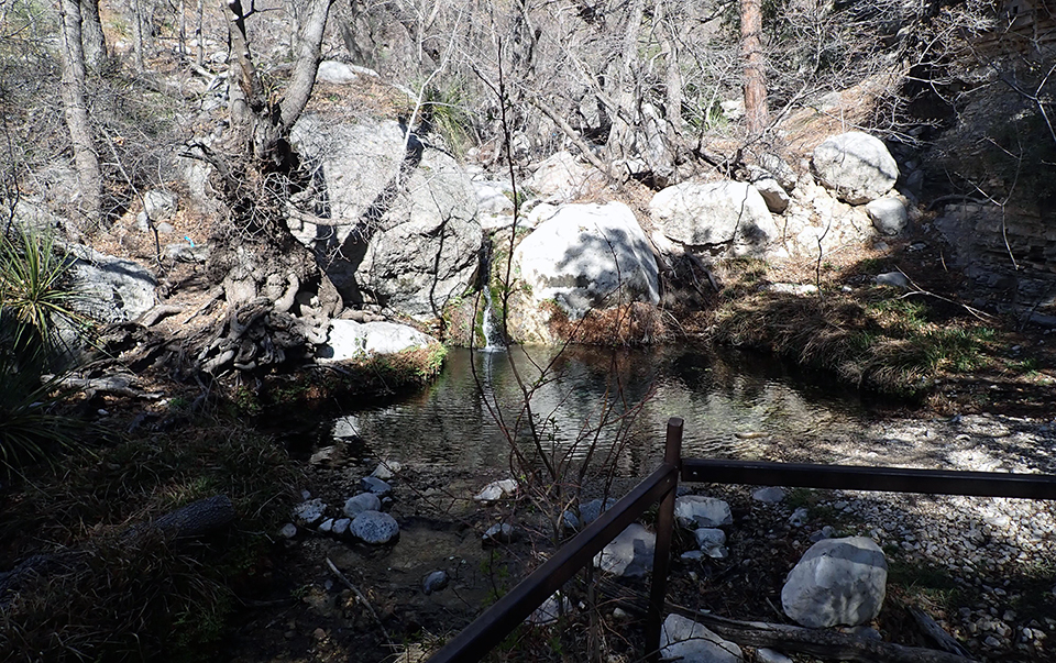 A shaded pool of water behind a fence, fed by a narrow channel cascading between two boulders in a forested drainage.