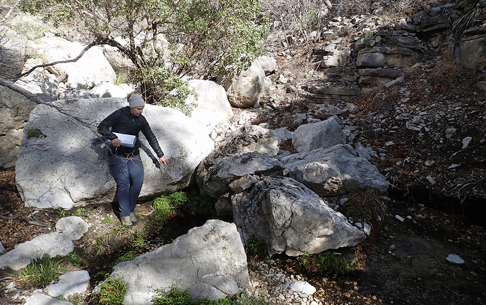 A person points at a pool of water along a shaded flowing stream with small boulders laid throughout. Trees surround the stream’s banks and green plants dot the edges of the pool around the boulders.