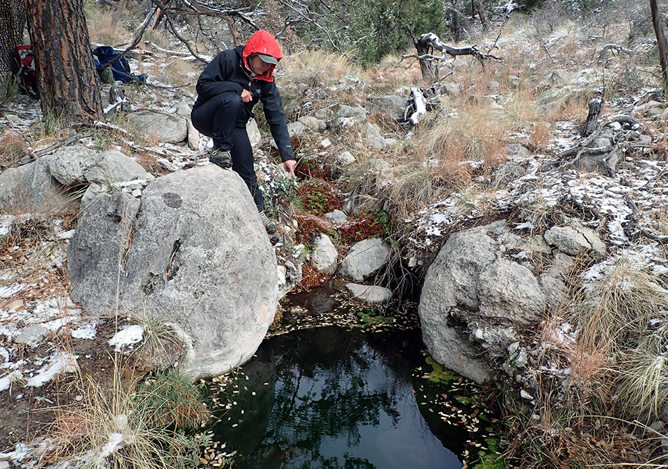 A person pointing down into a pool along a stream flanked by boulders and grass in a forested area. The banks have patches of snow.